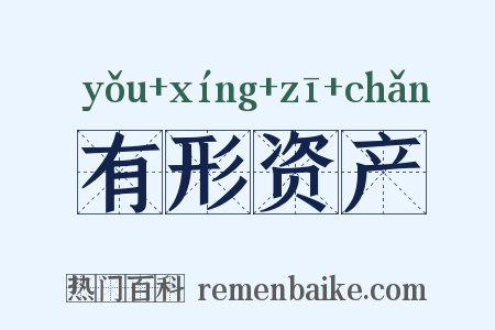 有形资产是什么意思的图片